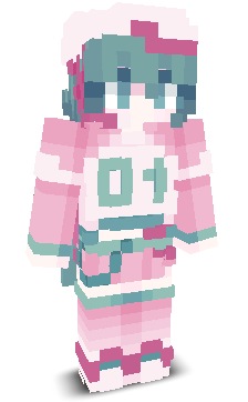 User's Minecraft appearance