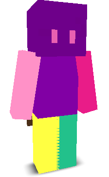 User's Minecraft appearance