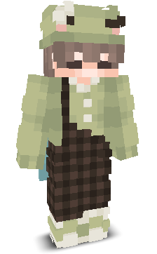 User's Minecraft appearance