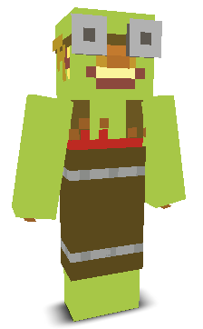 User's Minecraft appearance