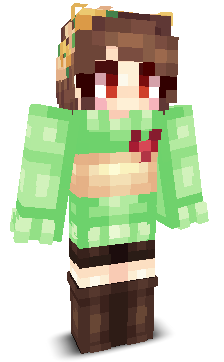 User's Minecraft appearance