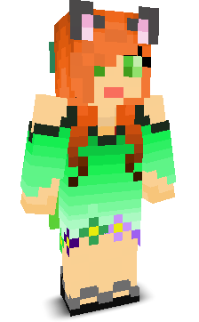 User's Minecraft appearance