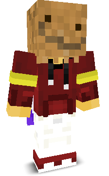 User's Minecraft appearance