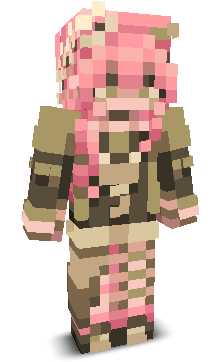 User's Minecraft appearance