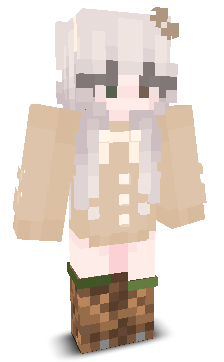User's Minecraft appearance