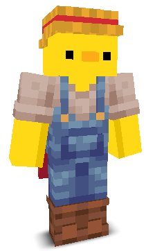 User's Minecraft appearance