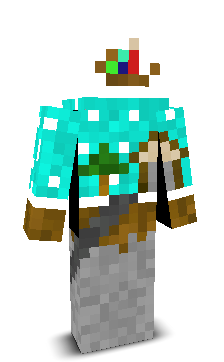 User's Minecraft appearance