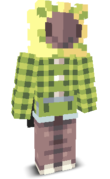 User's Minecraft appearance