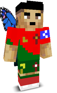 User's Minecraft appearance