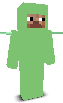 User's Minecraft appearance