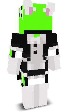 User's Minecraft appearance