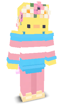 User's Minecraft appearance