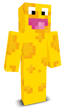 User's Minecraft appearance