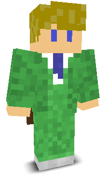 User's Minecraft appearance
