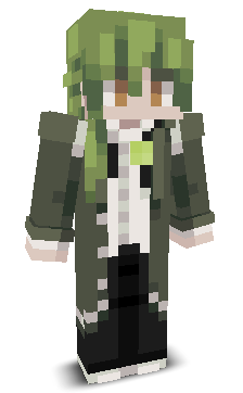 User's Minecraft appearance