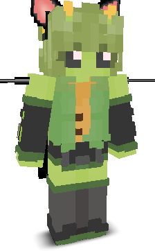 User's Minecraft appearance