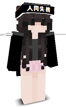 User's Minecraft appearance