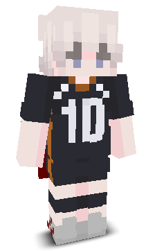 User's Minecraft appearance