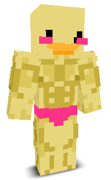 User's Minecraft appearance