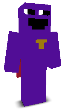 User's Minecraft appearance