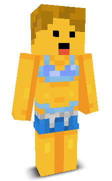 User's Minecraft appearance