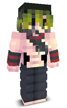 User's Minecraft appearance