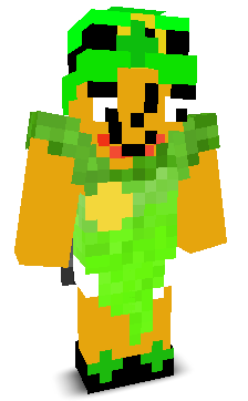 User's Minecraft appearance