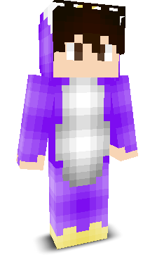 User's Minecraft appearance