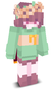 User's Minecraft appearance
