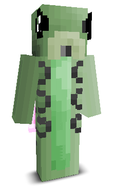 User's Minecraft appearance
