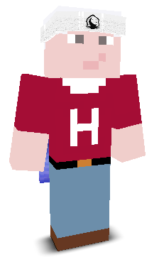 User's Minecraft appearance