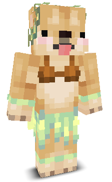 User's Minecraft appearance