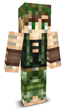 User's Minecraft appearance