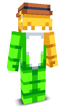 User's Minecraft appearance
