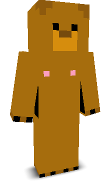 User's Minecraft appearance