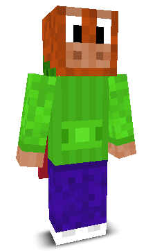 User's Minecraft appearance