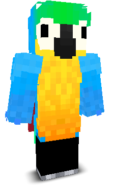 User's Minecraft appearance