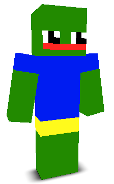 User's Minecraft appearance
