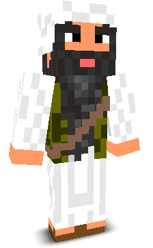 User's Minecraft appearance