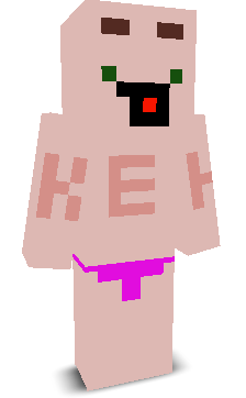 User's Minecraft appearance