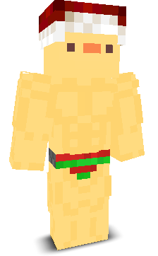 User's Minecraft appearance