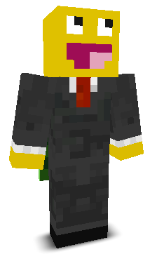 User's Minecraft appearance