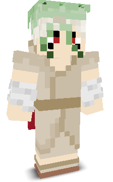 User's Minecraft appearance