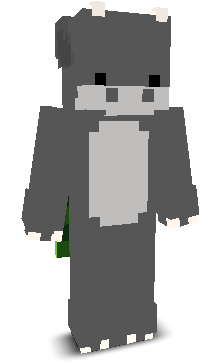 User's Minecraft appearance