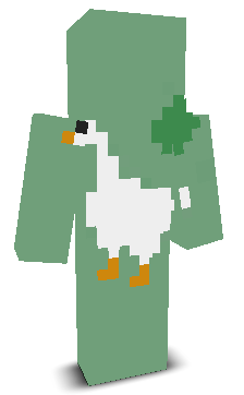 User's Minecraft appearance