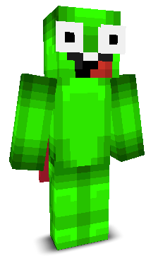 User's Minecraft appearance
