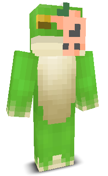 User's Minecraft appearance