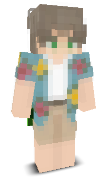 User's Minecraft appearance