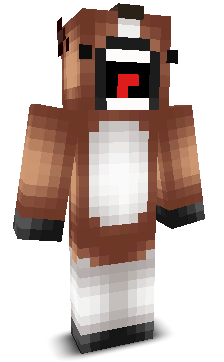 User's Minecraft appearance
