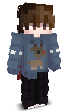 User's Minecraft appearance